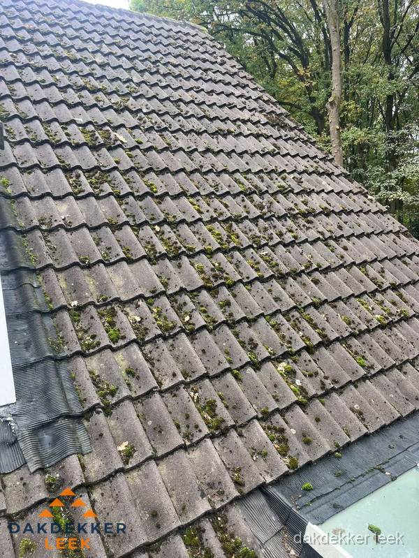 Verweerd pannendak met mosgroei dat renovatie nodig heeft in Leek Verweerd pannendak met mosgroei dat renovatie nodig heeft in Leek
