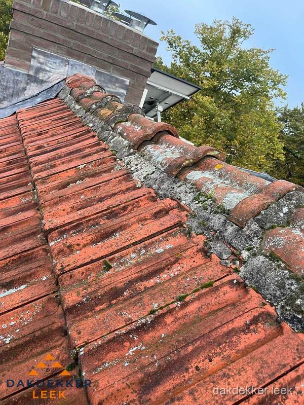 Verweerd hellend dak met mosgroei op nokvorst in Leek Verweerd hellend dak met mosgroei op nokvorst in Leek