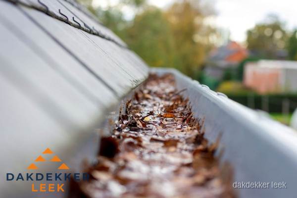 Verstopte dakgoot met bladeren schoonmaken in Leek Verstopte dakgoot met bladeren schoonmaken in Leek